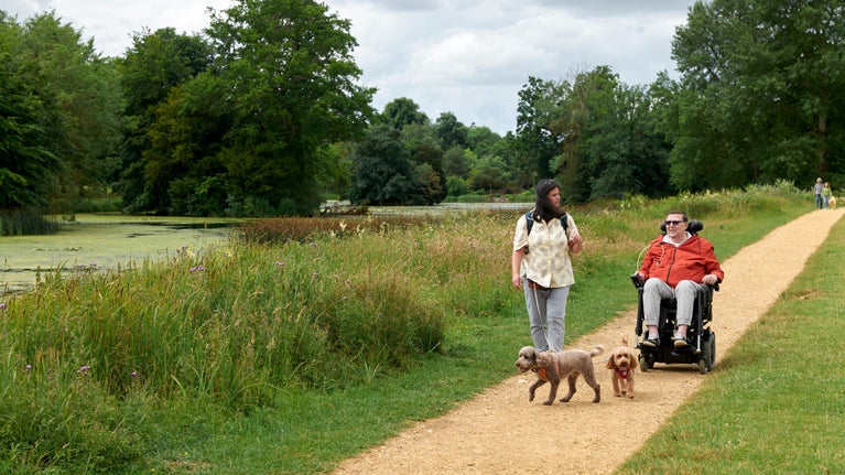 A woman walking two dogs and a man in a wheelchair on a path by a pond with grass and trees in the background